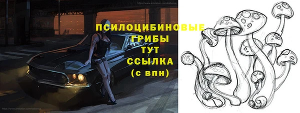 дурь Арсеньев