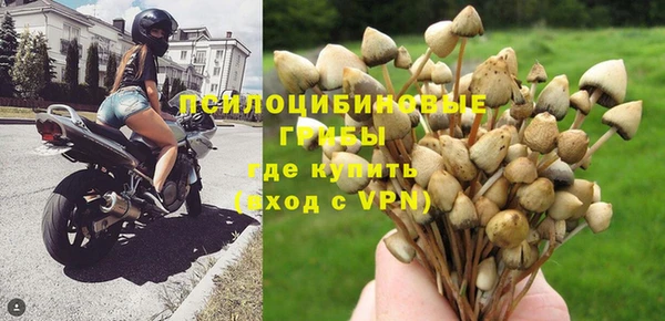 дурь Арсеньев