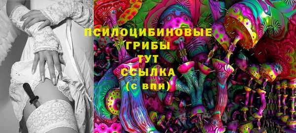 дурь Арсеньев