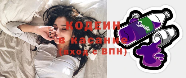 дурь Арсеньев