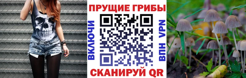 Галлюциногенные грибы мицелий  Бронницы 